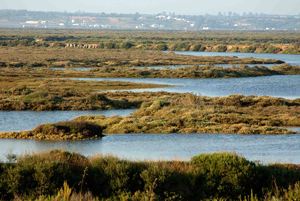 Marismas Isla Cristina