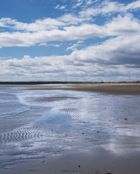 playa san bruno